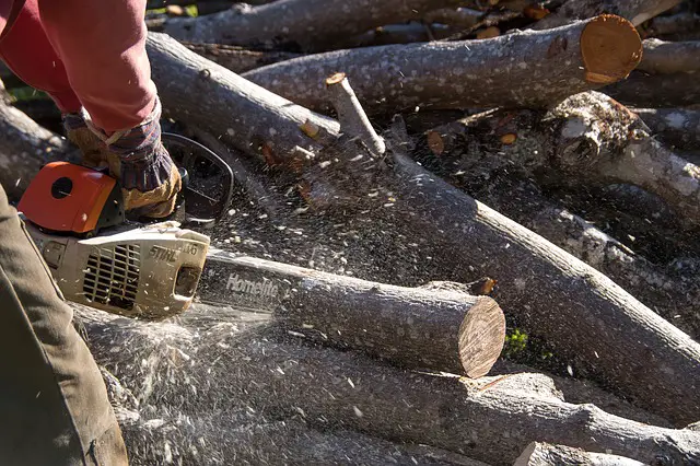 10 Things To Consider When Buying A Chainsaw