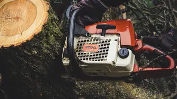 What Size Of A Chainsaw Do I Need To Cut Down A Tree?