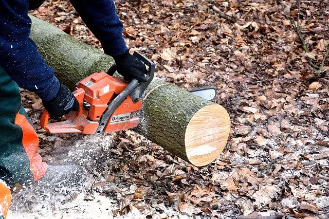 10 Things To Consider When Buying A Chainsaw