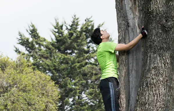 Climbing A Tree With Rope - Step By Step Instructions On How To