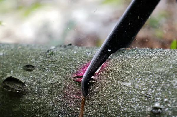 Things You Have To Be Aware of When Trying to Safely Operate a Chainsaw