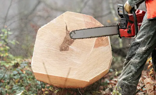 Things You Have To Be Aware of When Trying to Safely Operate a Chainsaw