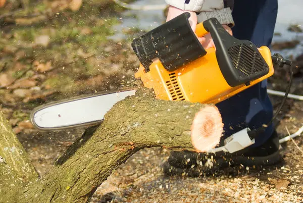 How Good are Battery Powered Chainsaws? Are They Safer?