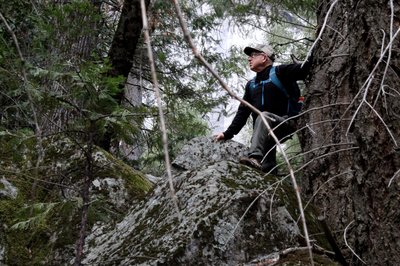 climbing a tree