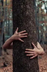 person holding a tree trunk 3292559