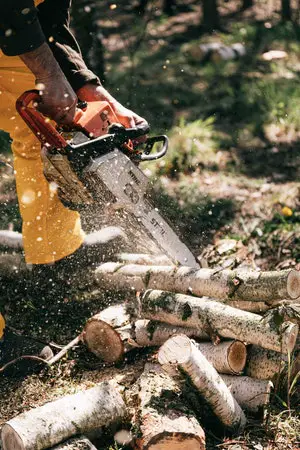 bucking Cutting Logs With Chainsaw