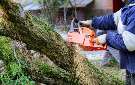 Why are Chainsaws So Difficult to Start?