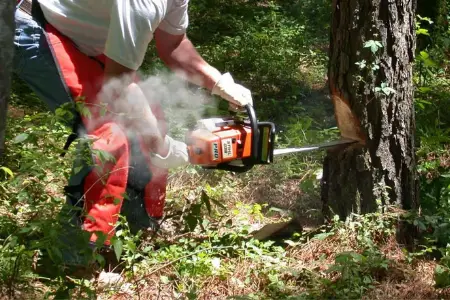 Why your Chainsaw Smokes and What to Do About It