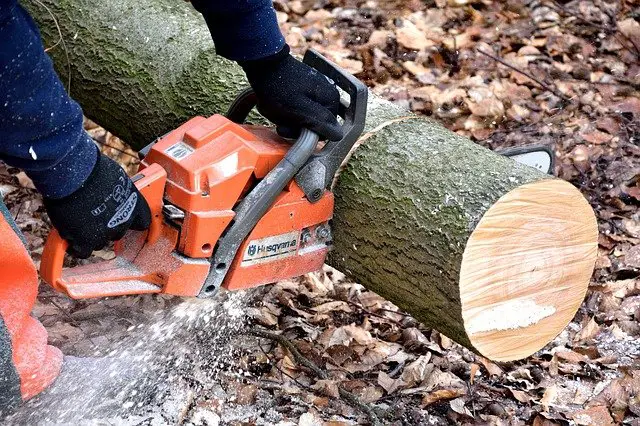 Are Chainsaw Gloves Necessary?