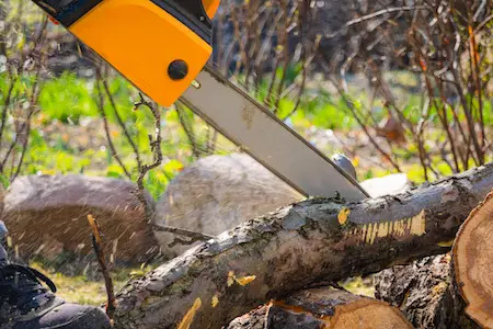 Can You Cut with the Tip of a Chainsaw?
