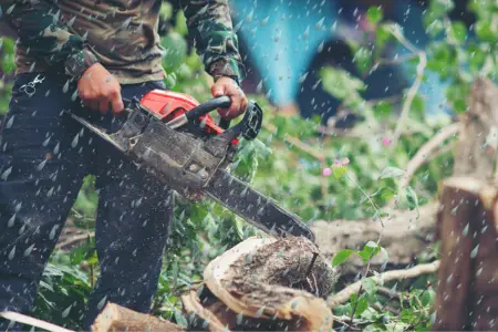 Can Chainsaws Get Wet?