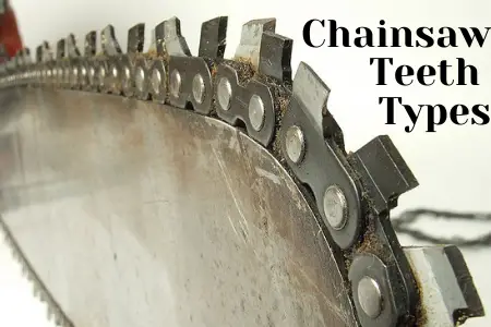 Chainsaw Teeth Types