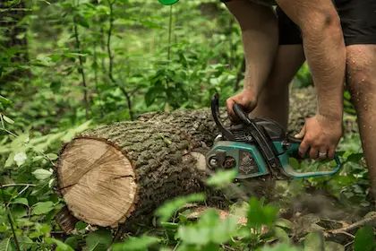 How to Cut Logs into Slices