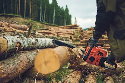 Running Chainsaw with Brake On (Is It Dangerous?)