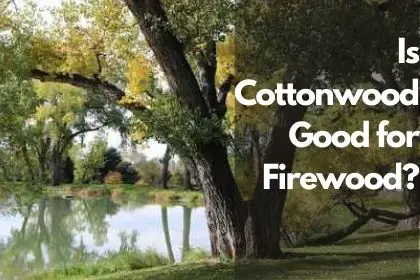 Is Cottonwood Good for Firewood?