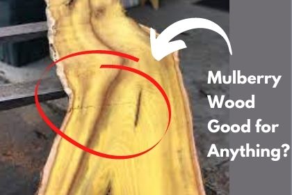 Mulberry Wood Good for Anything?