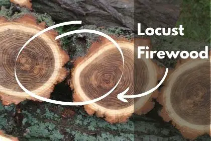 locust firewood