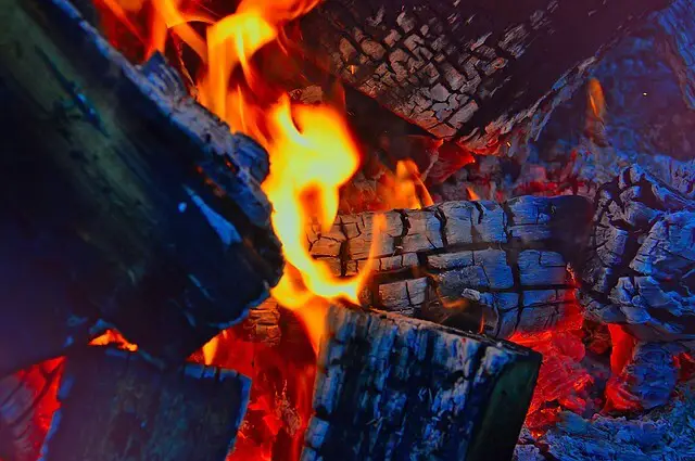 Burning Black Walnut Wood. Is it safe?