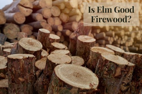 Is Elm Good Firewood?