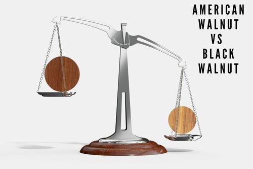 American Walnut vs Black Walnut