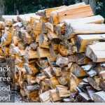 Is Black Ash Tree Good Firewood?