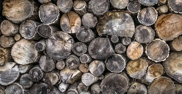 How Long Does Firewood Need to Dry? 