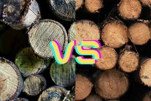Seasoned vs Unseasoned Firewood: Which is Better?
