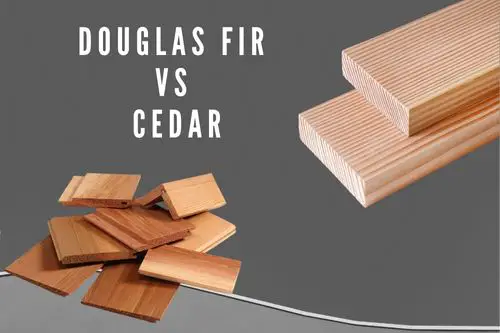 Douglas Fir or Cedar