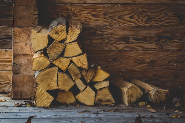 How to Properly Grow Trees for Firewood