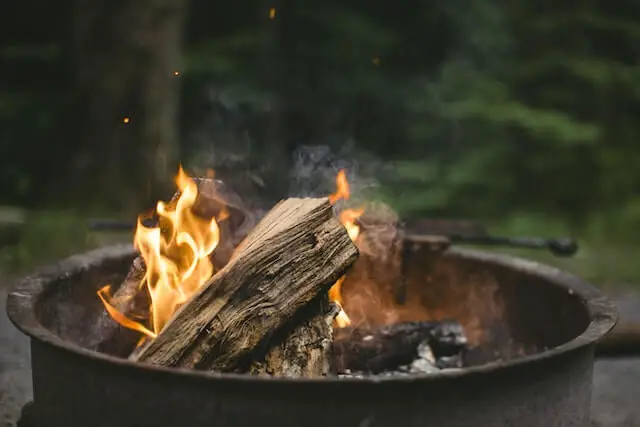 Can Wet Wood Burn?