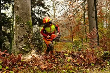 Are Chainsaw Chaps Worth It