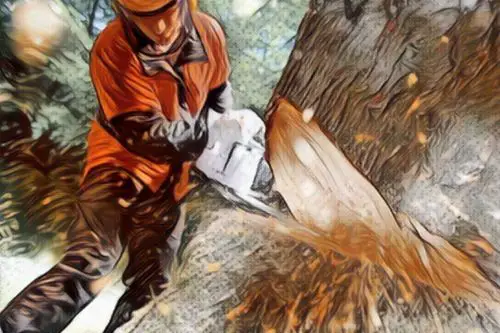 Are Electric Chainsaws Safer for Homeowners?